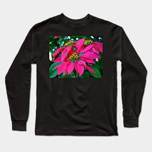 Poinsettia at the Zoo Long Sleeve T-Shirt